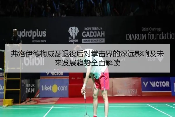 弗洛伊德梅威瑟退役后对拳击界的深远影响及未来发展趋势全面解读